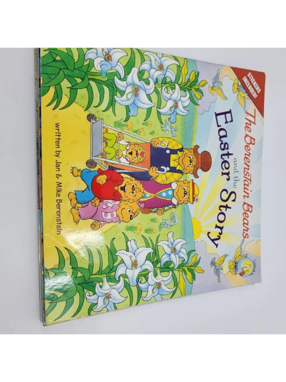 Berenstain Bears Huge Lot of 12 Children's Books - BB003